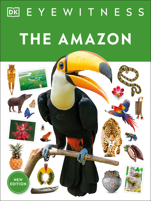 Cover image for Amazon